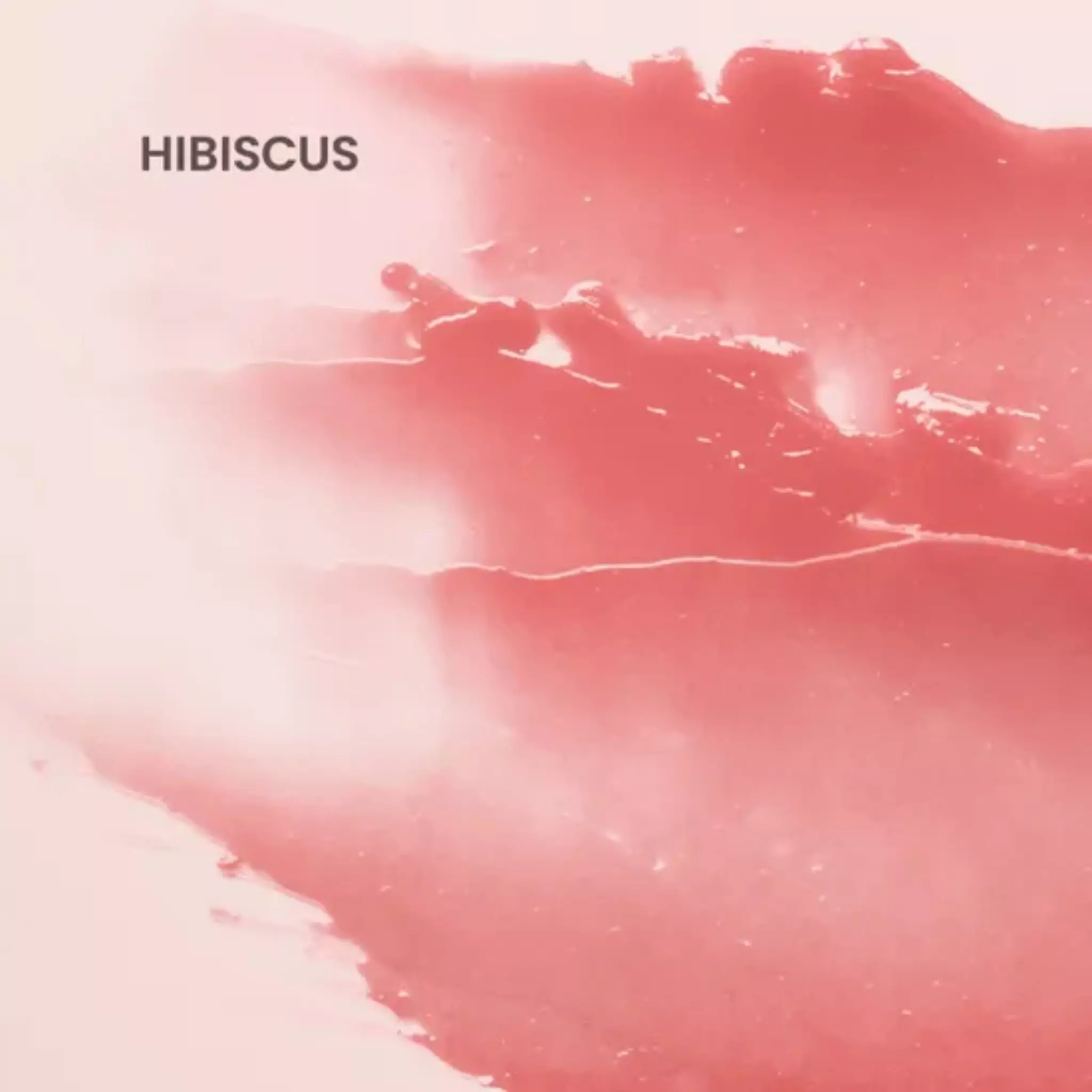 Tinted Lip Balm Hibiscus