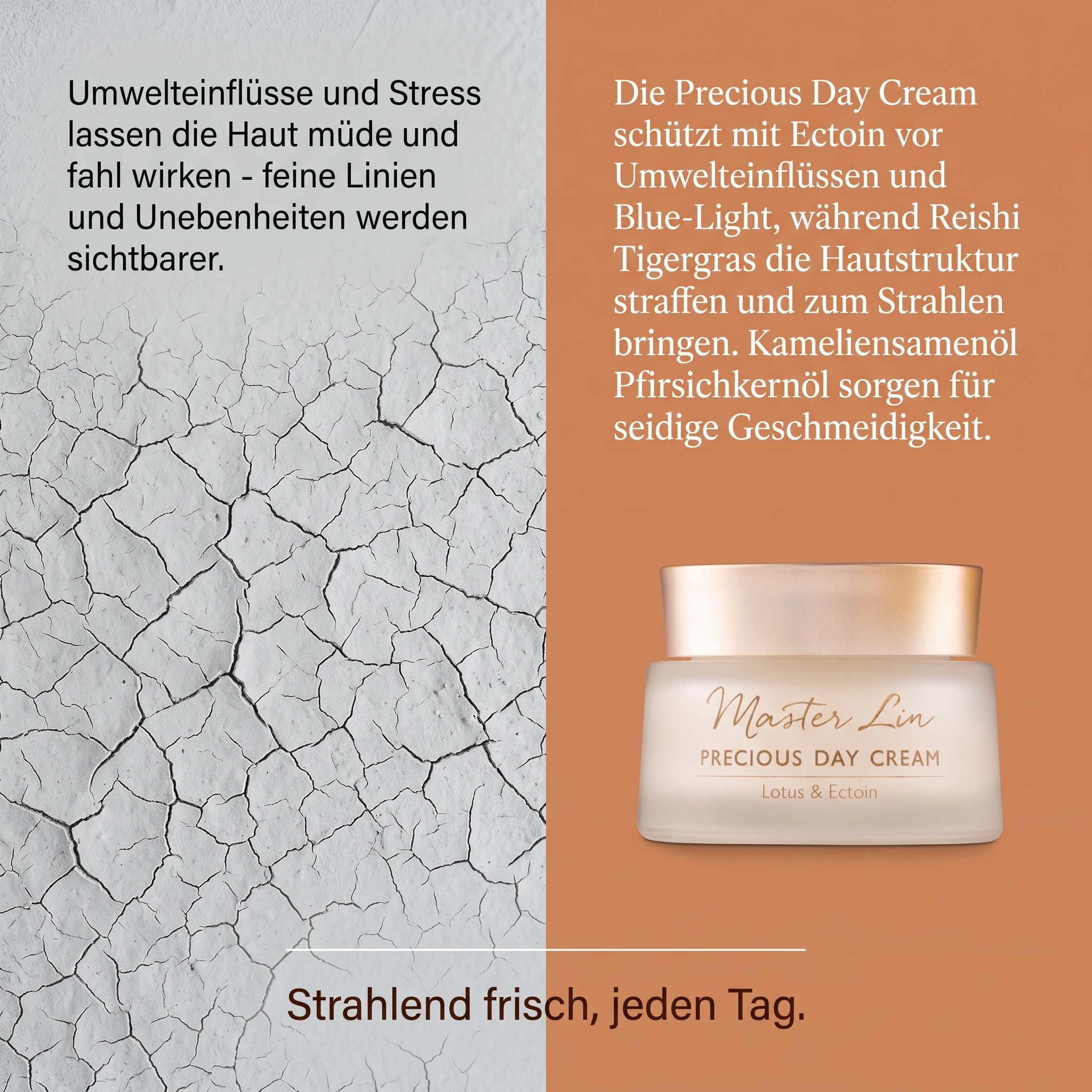 Precious Day Cream Tagescreme Precious Day Cream Tagescreme