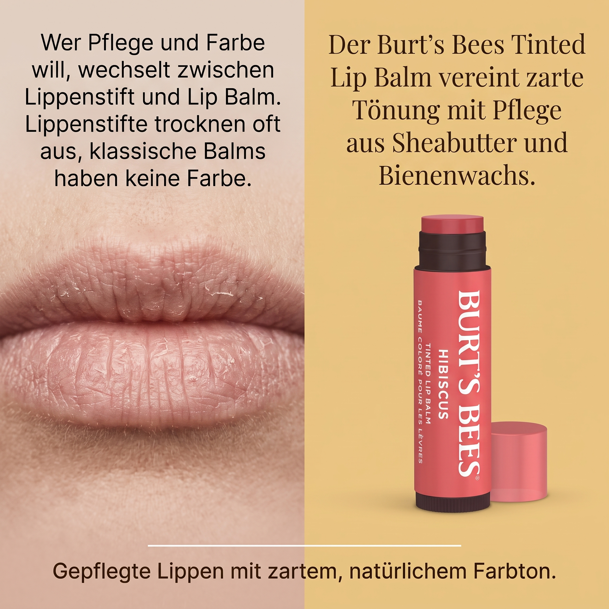 Tinted Lip Balm Hibiscus