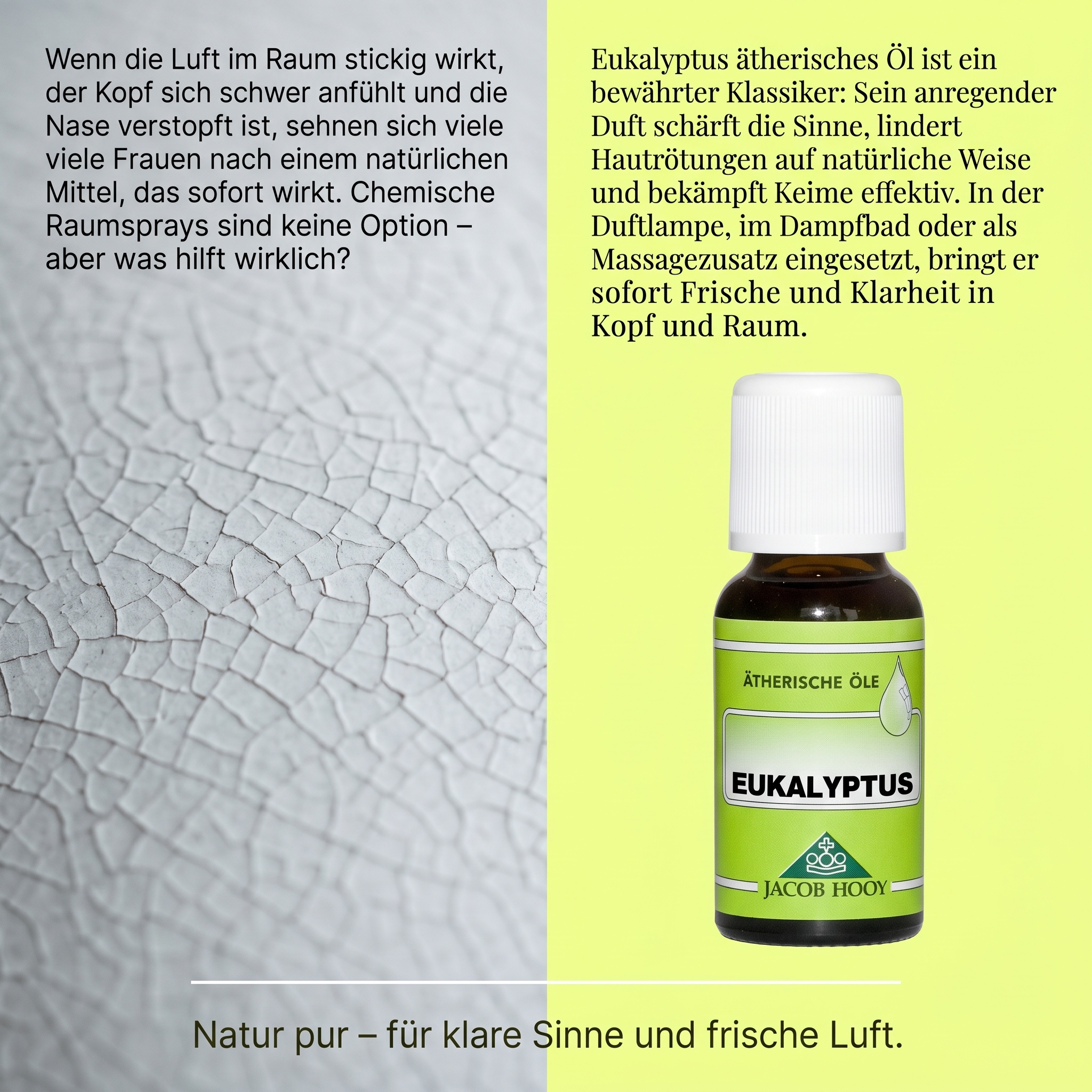 Eukalyptus äth. Öl 