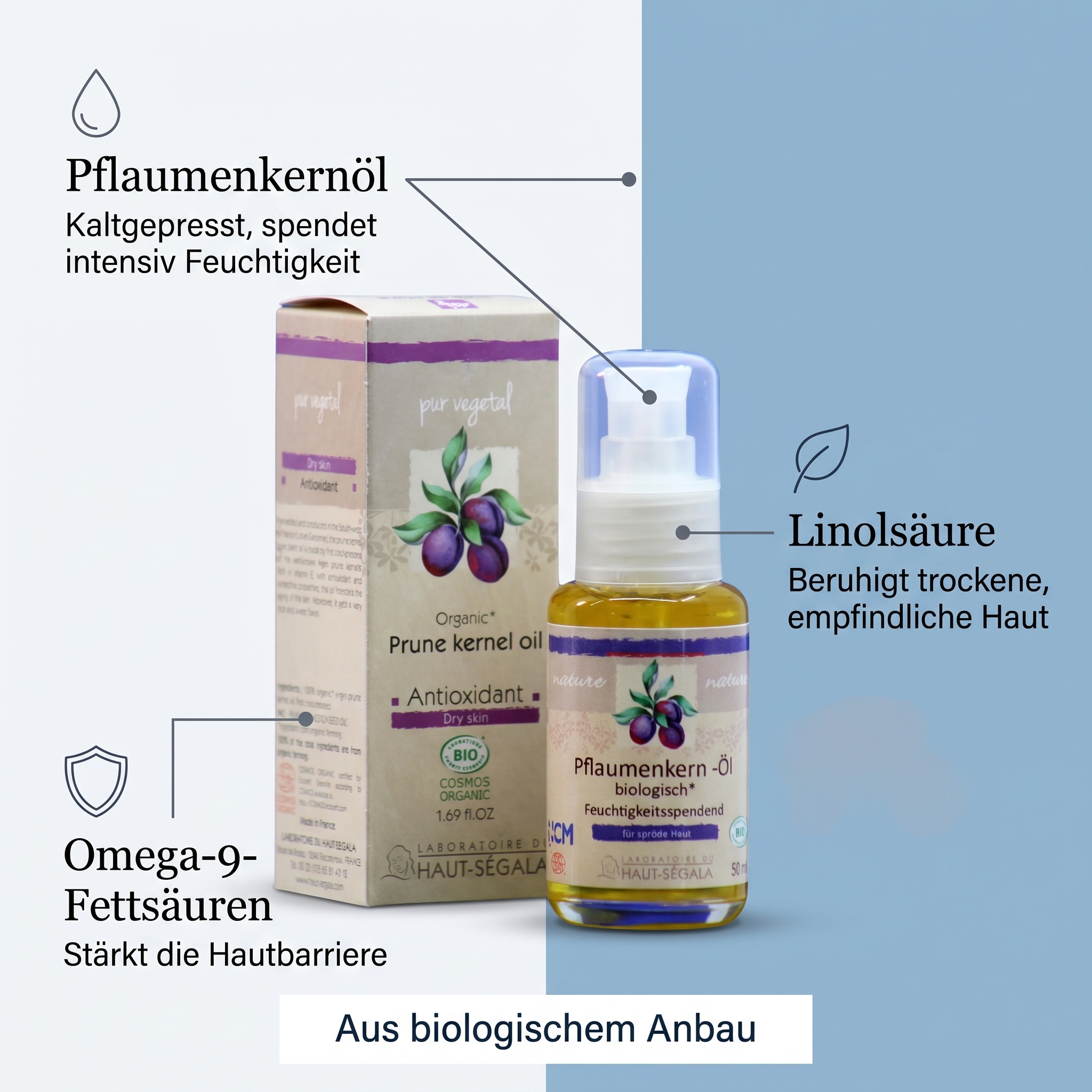 Pflaumenkern-Öl (Prune kernel oil) Pflaumenkern-Öl (Prune kernel oil)