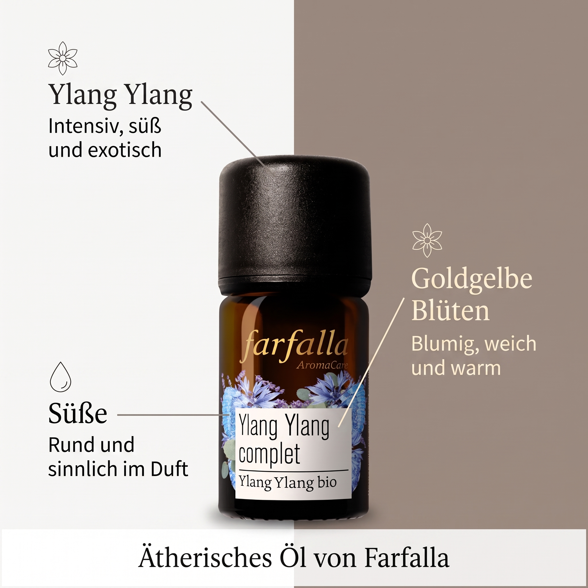 Ylang Ylang complet äth. Öl, kbA 