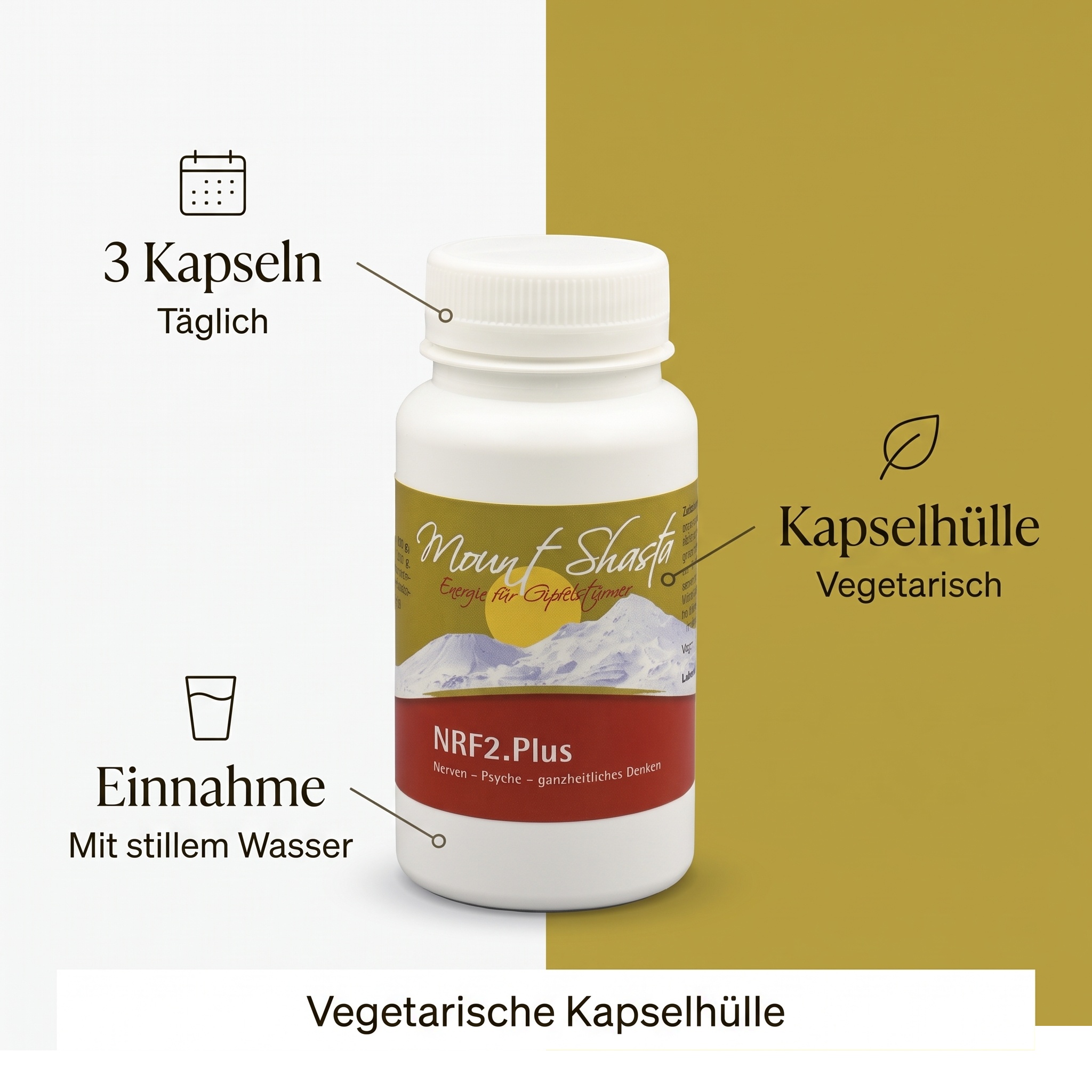 NRF2.Plus 