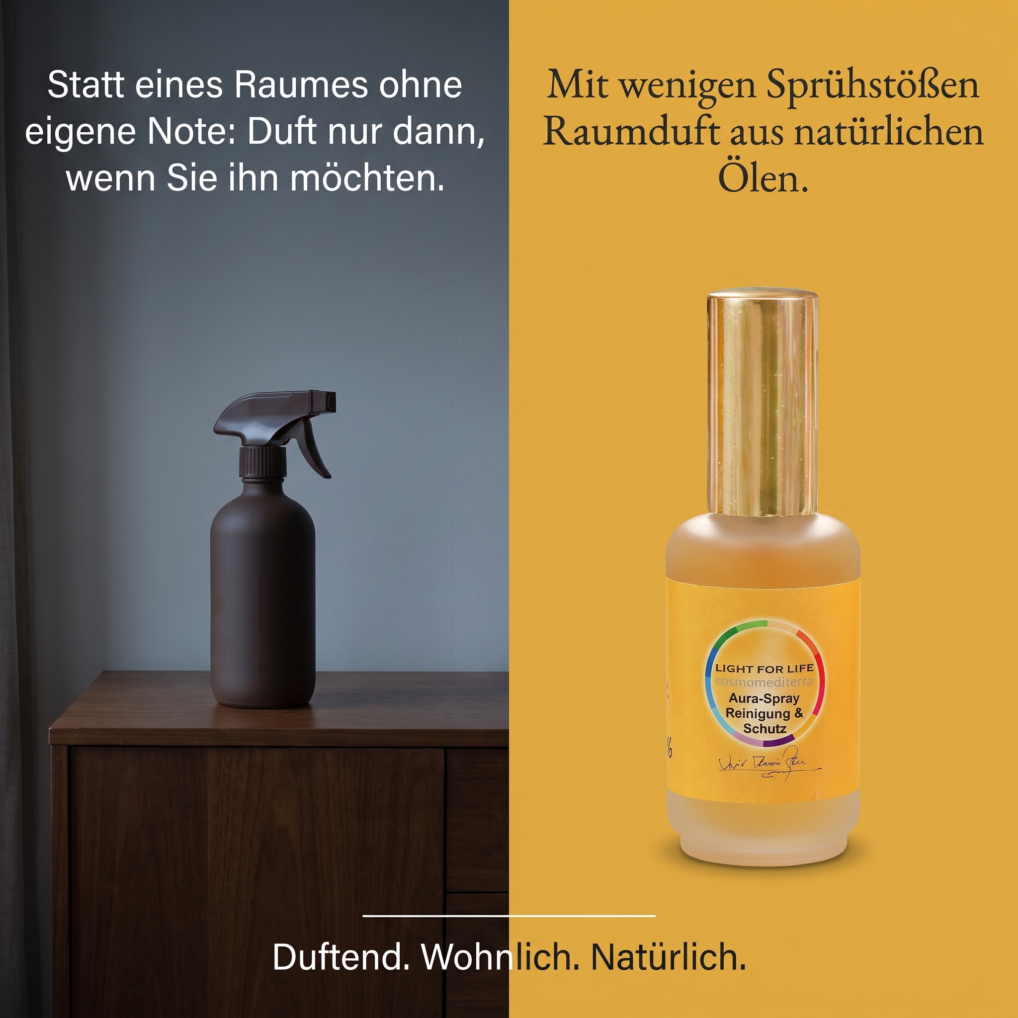 Aura-Spray Reinigung & Schutz
