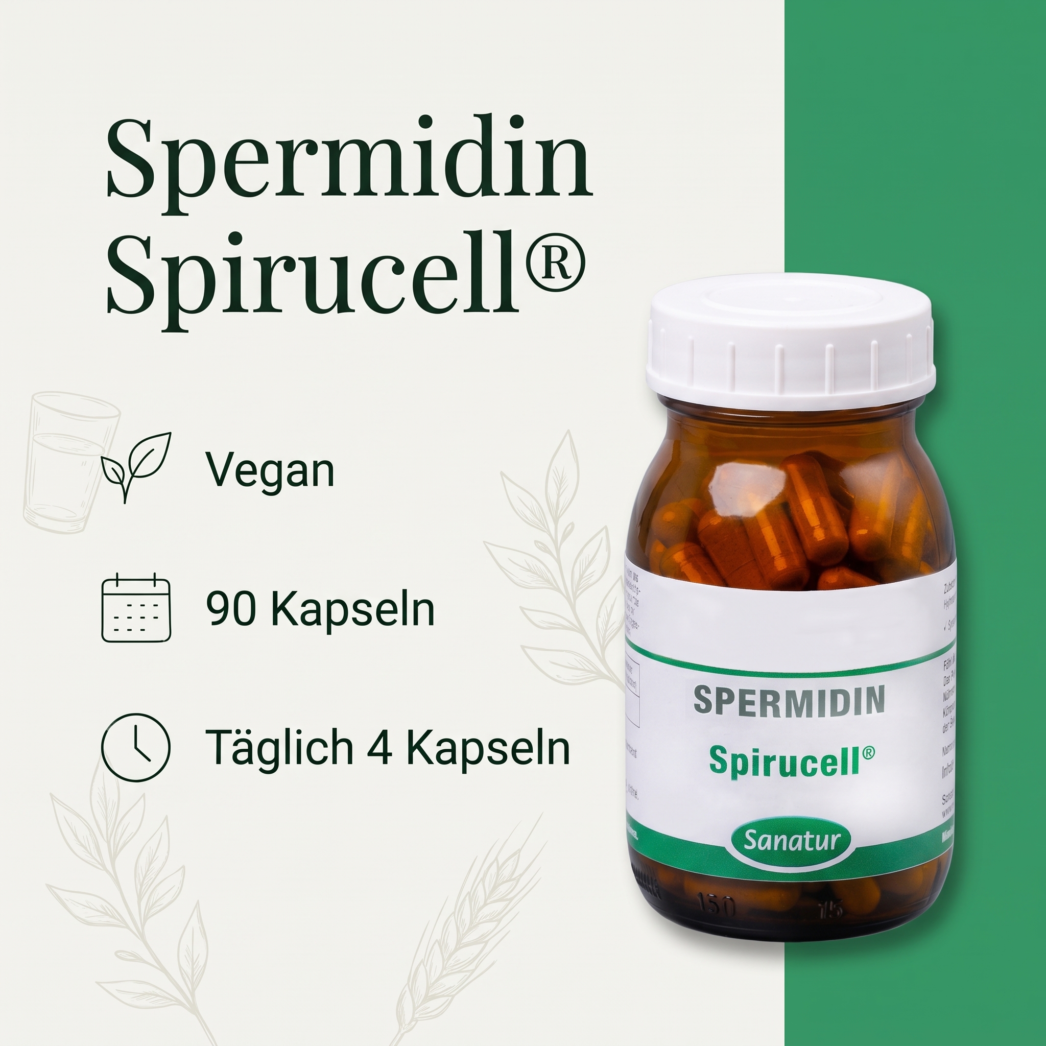 Spermidin Spirucell® Spermidin Spirucell®