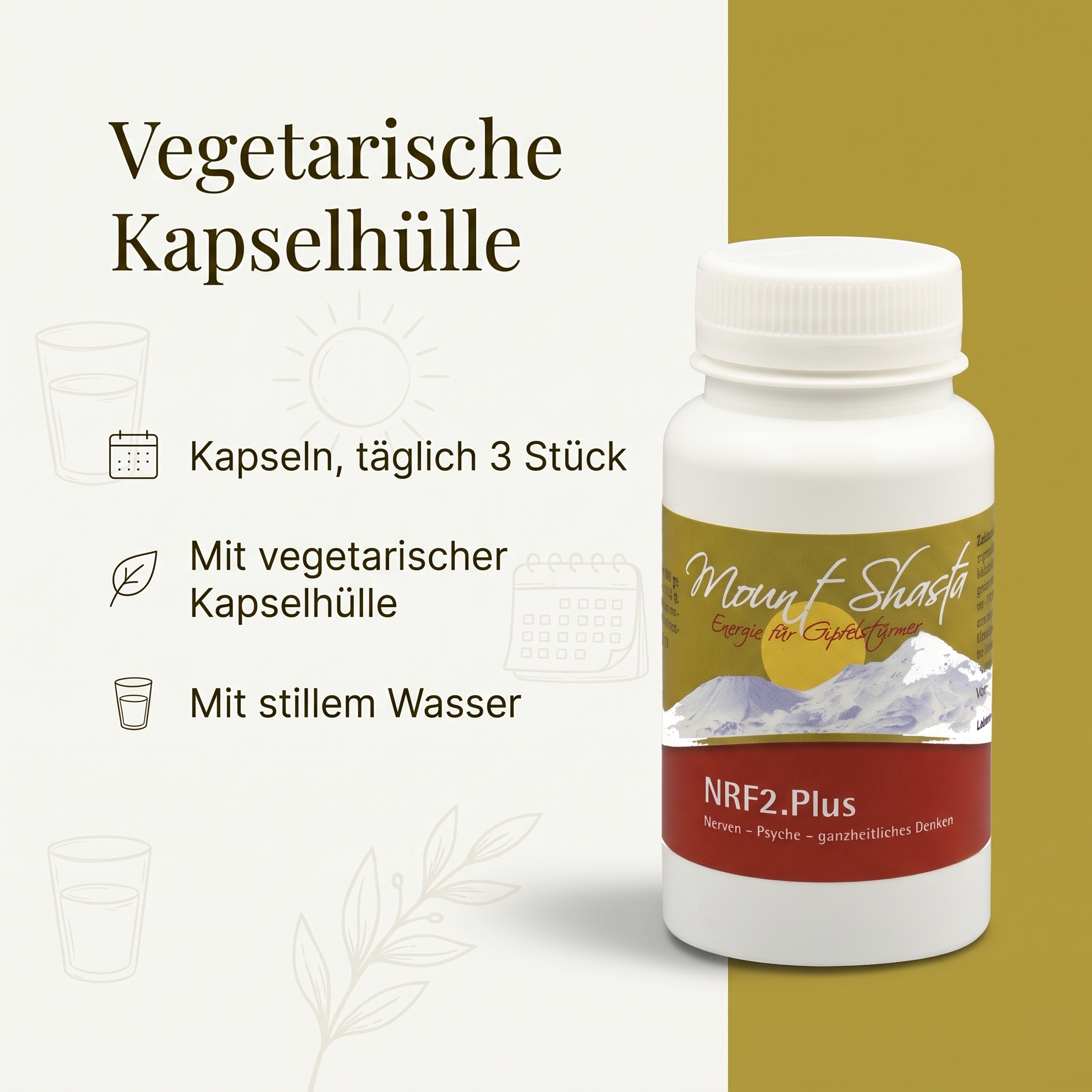 NRF2.Plus 