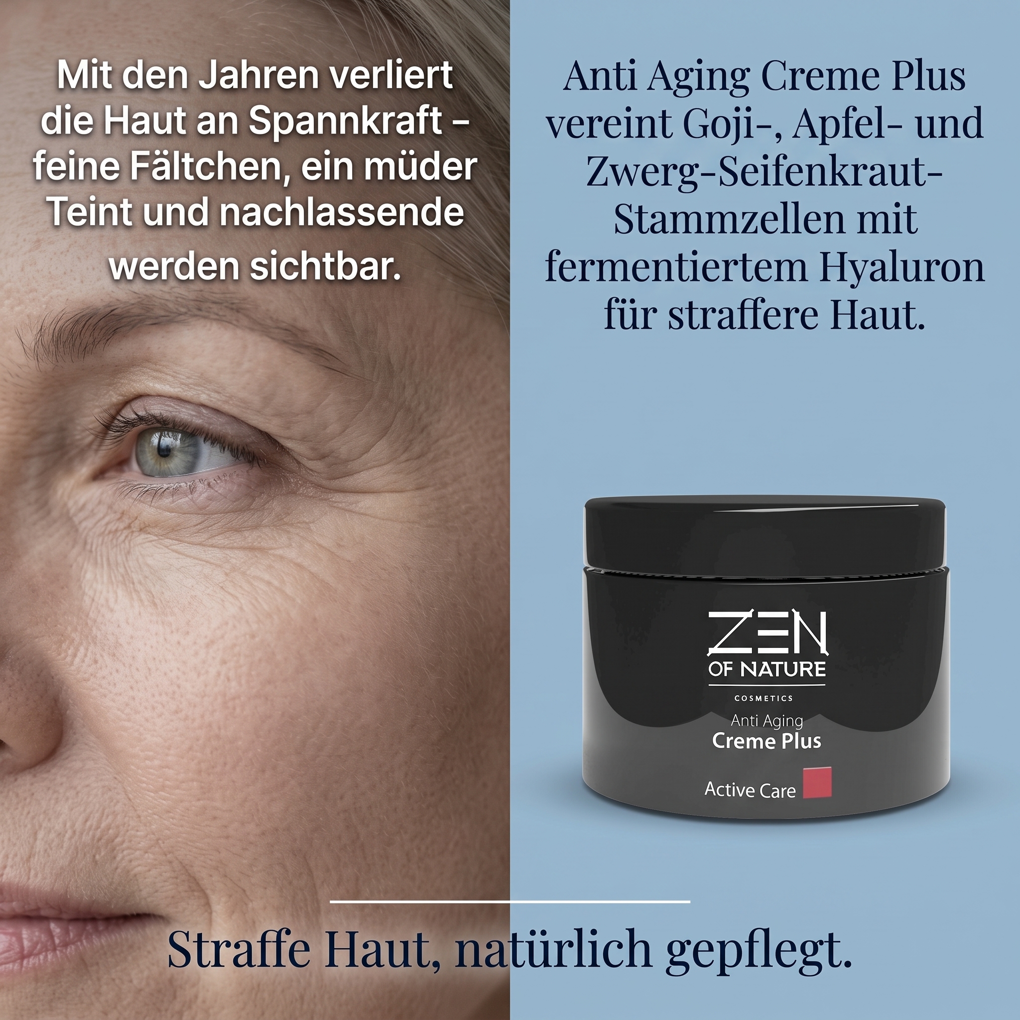 Anti Aging Creme Plus 