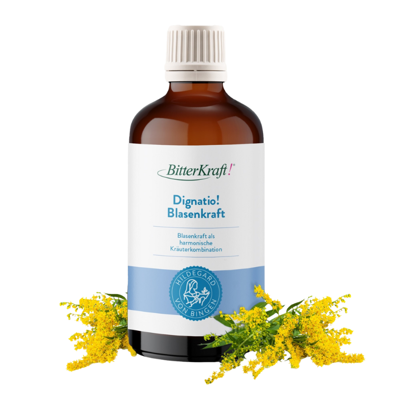 Dignatio! Blasenkraft