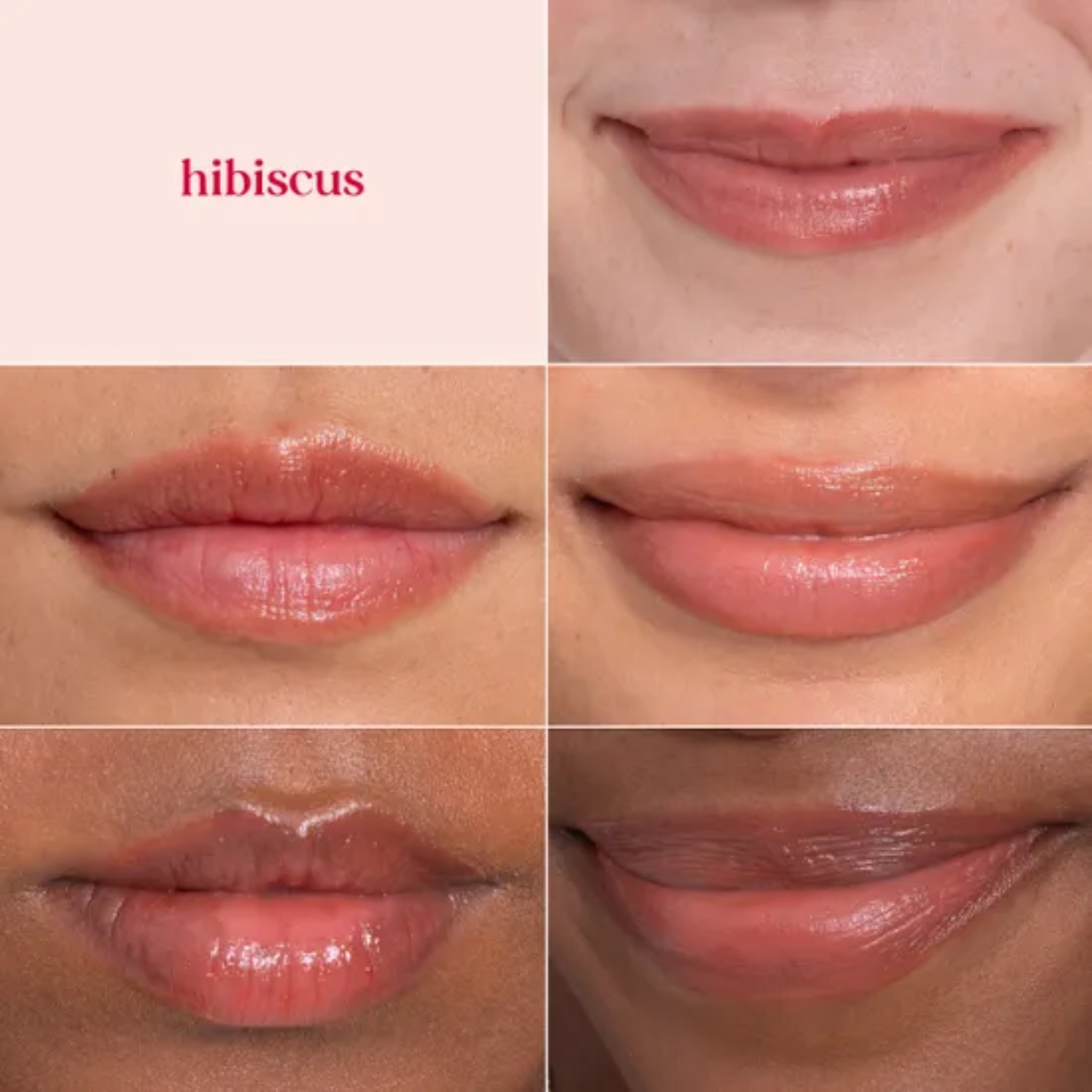 Tinted Lip Balm Hibiscus