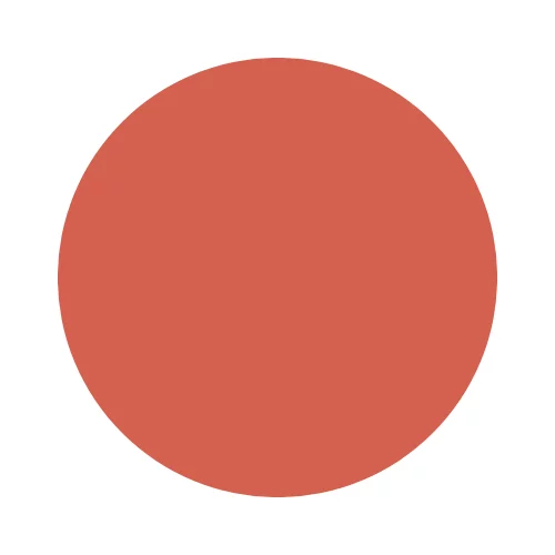 Nude Orange (07)