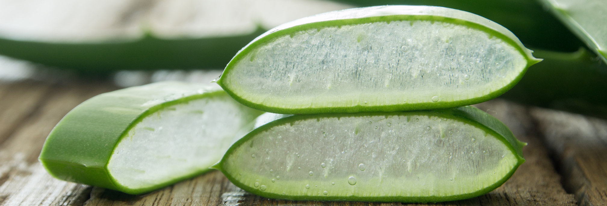 KW_38_Teaser_NL_Header_2016_x_1500_px_4_LP KW_38_Teaser_NL_Header_2016_x_1500_px_4_LP