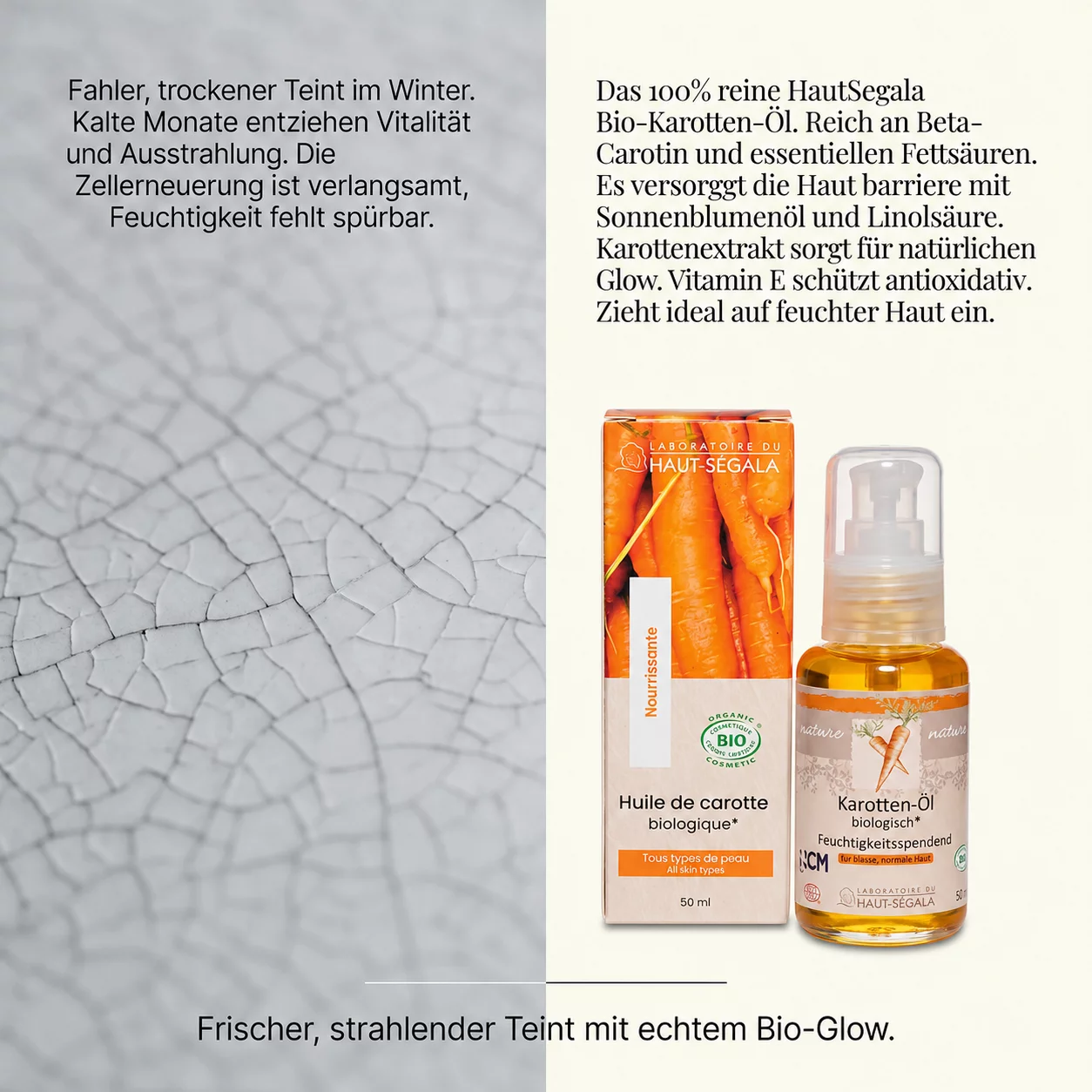 Karotten-Öl (Carrot Oil) Karotten-Öl (Carrot Oil)