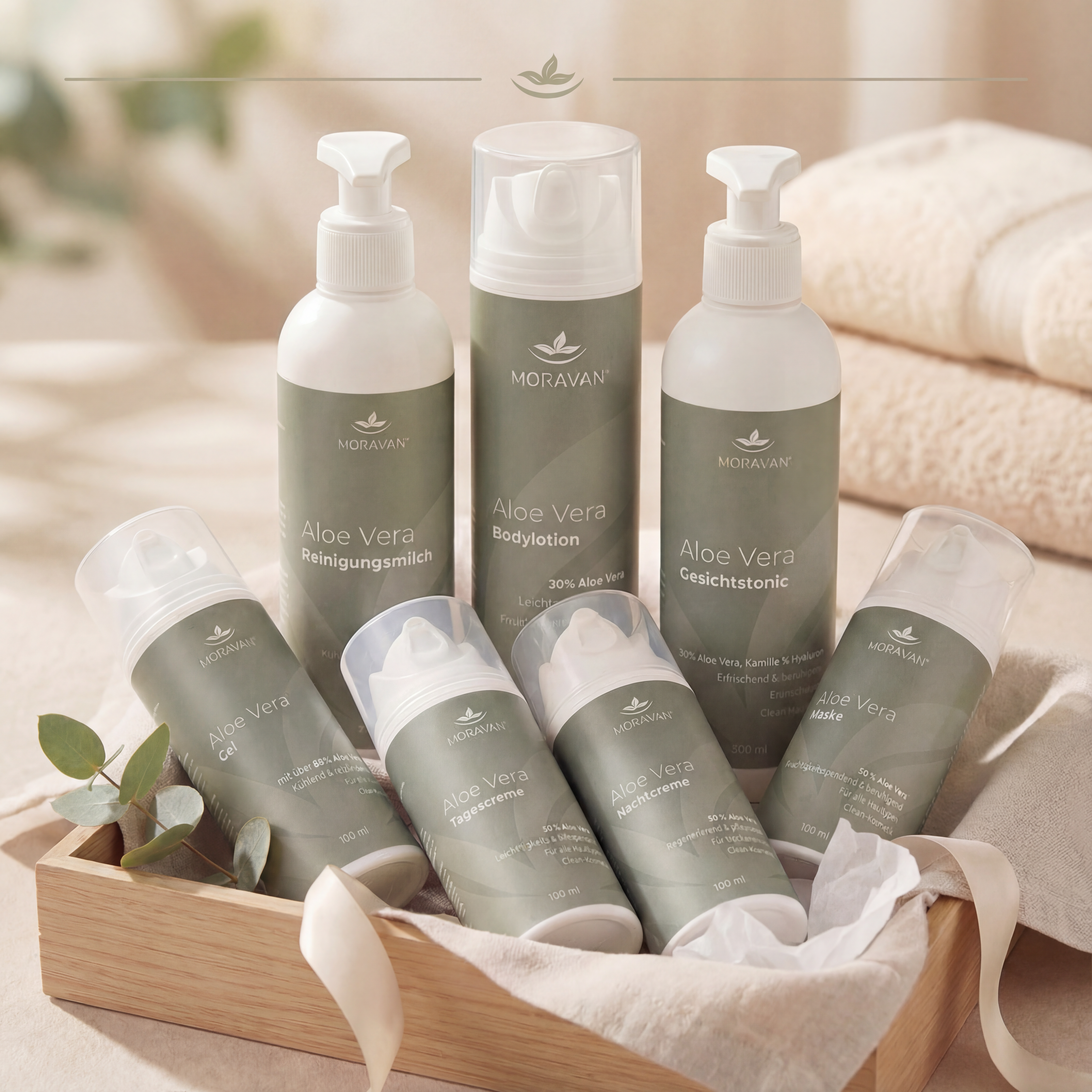 Aloe Hydration & Wellness Set