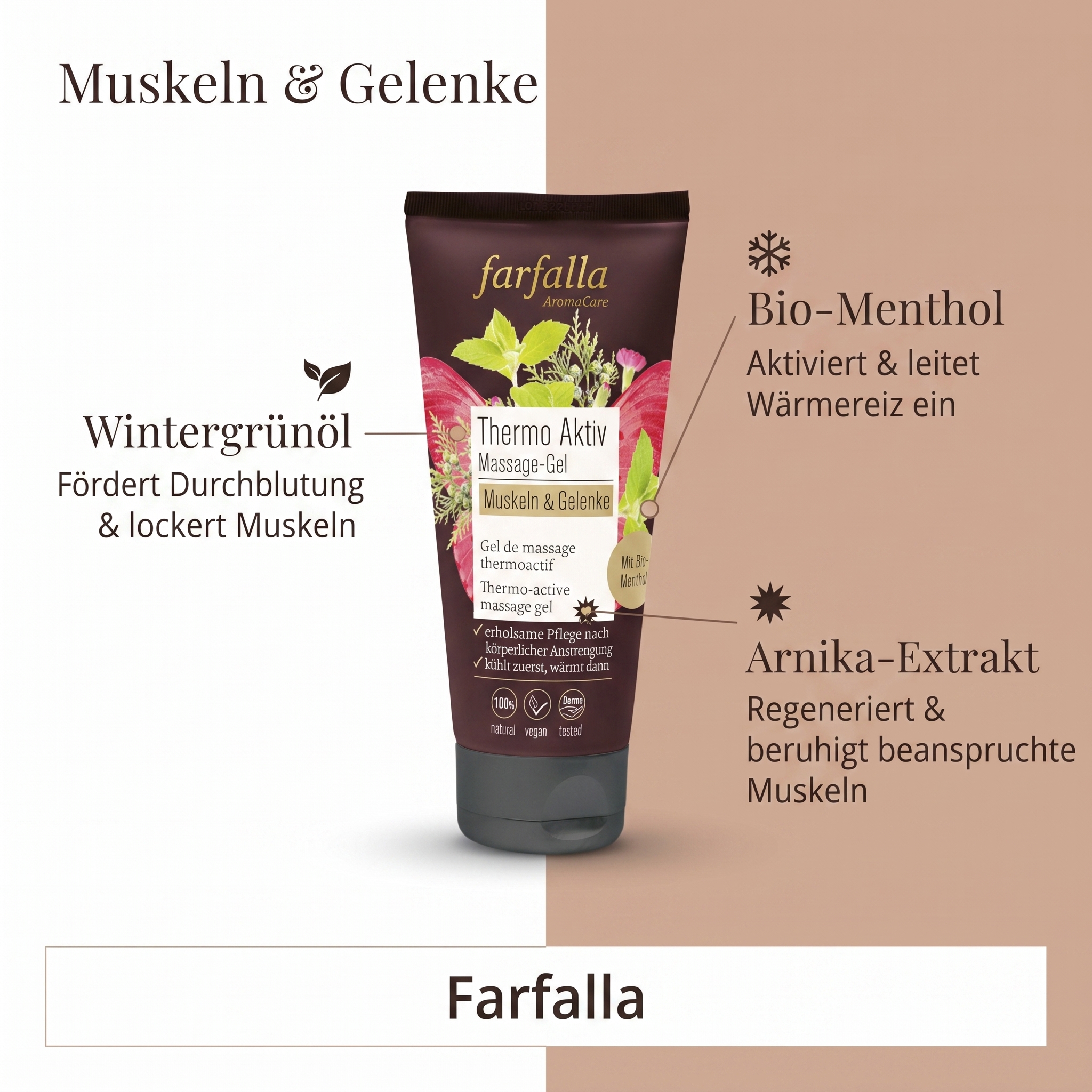 Muskeln & Gelenke Thermo Aktiv Massage-Gel Muskeln & Gelenke Thermo Aktiv Massage-Gel