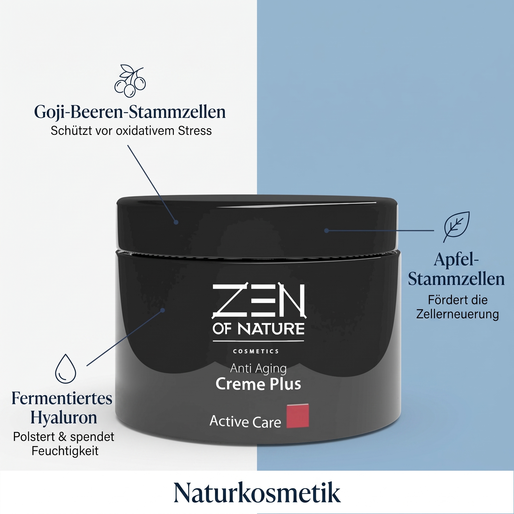 Anti Aging Creme Plus 
