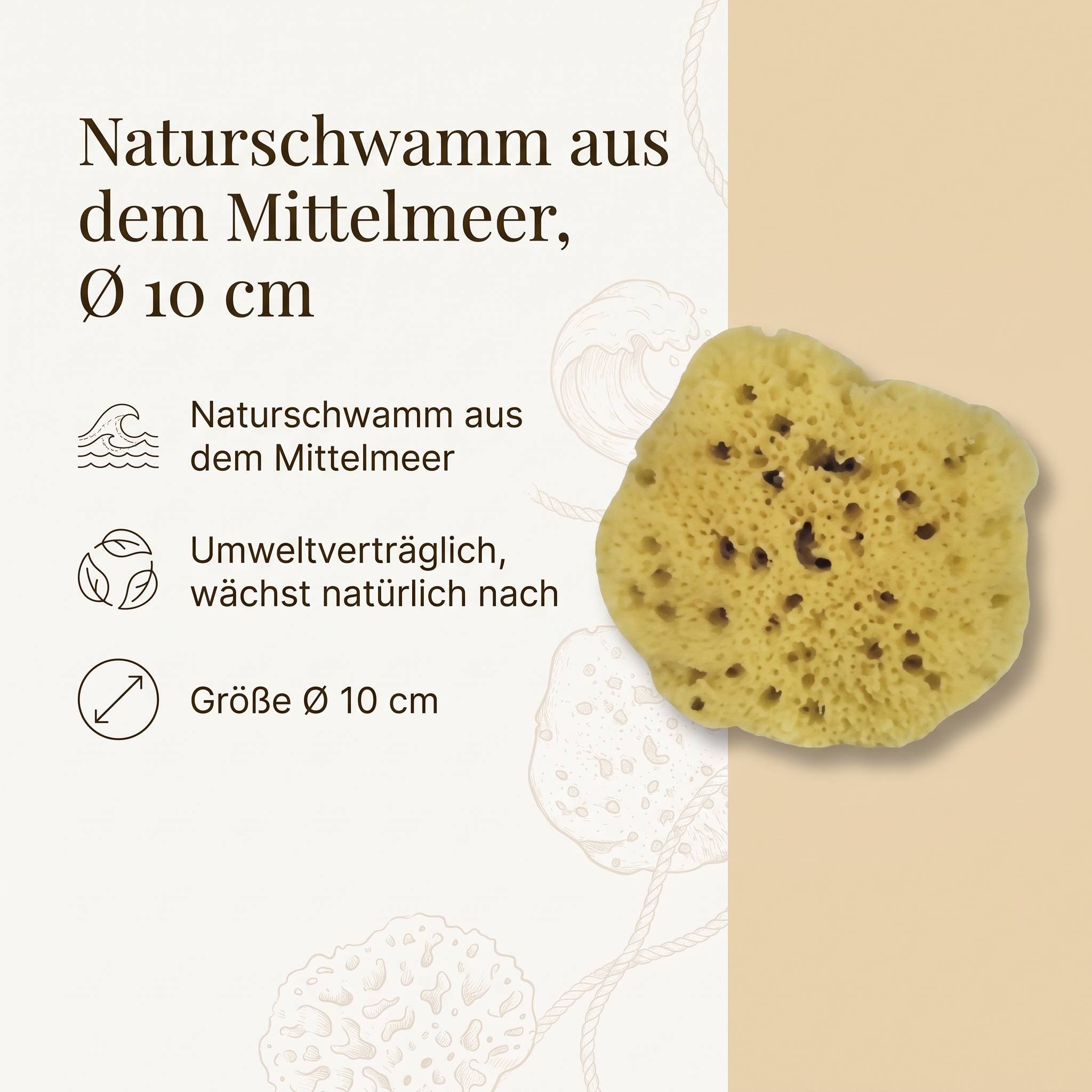 Naturschwamm/Levantiner Silk Schwamm ca. 10cm Naturschwamm/Levantiner Silk Schwamm ca. 10cm