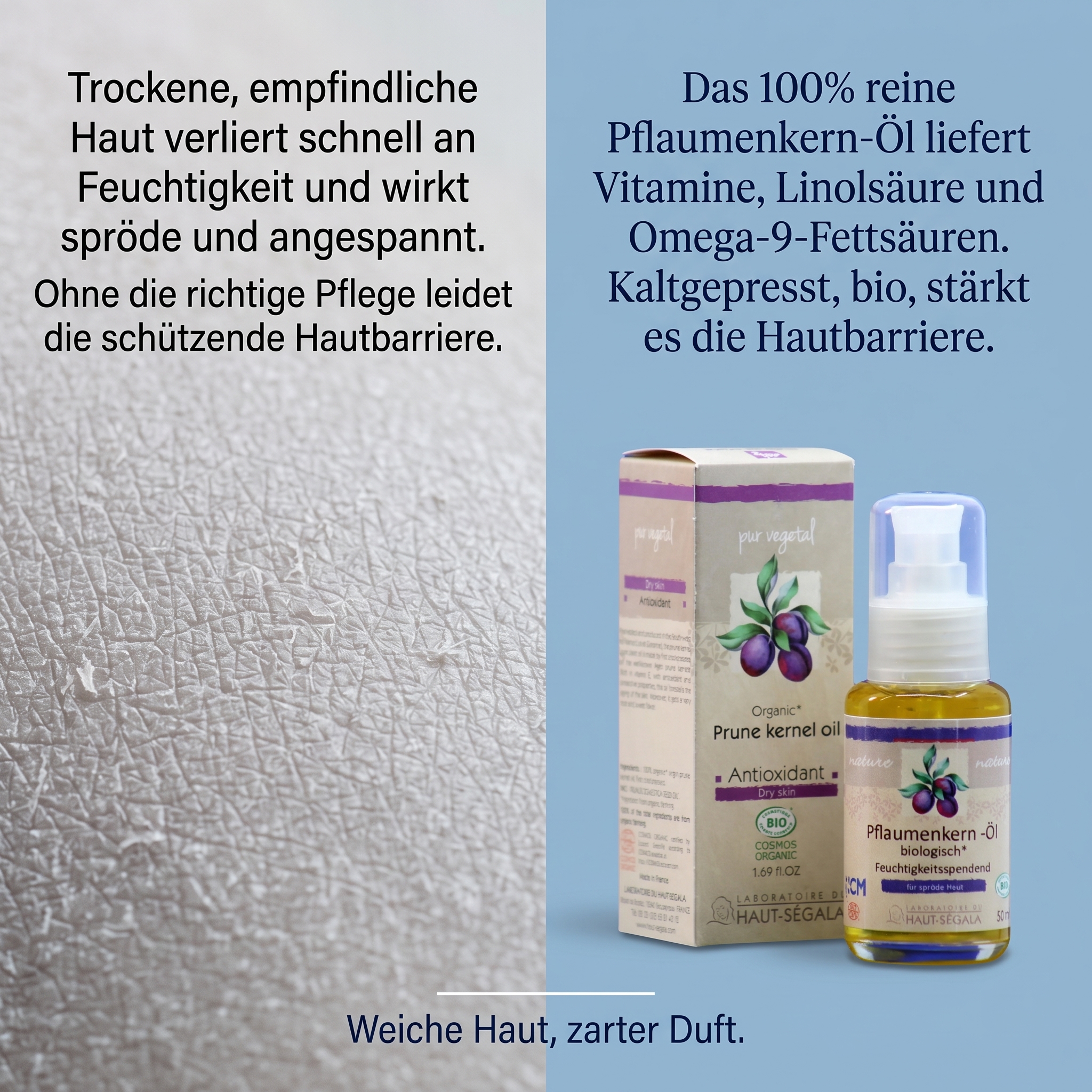 Pflaumenkern-Öl (Prune kernel oil) Pflaumenkern-Öl (Prune kernel oil)