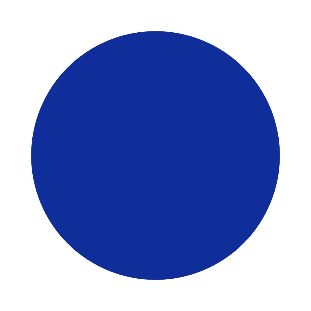 Blueberry (343)