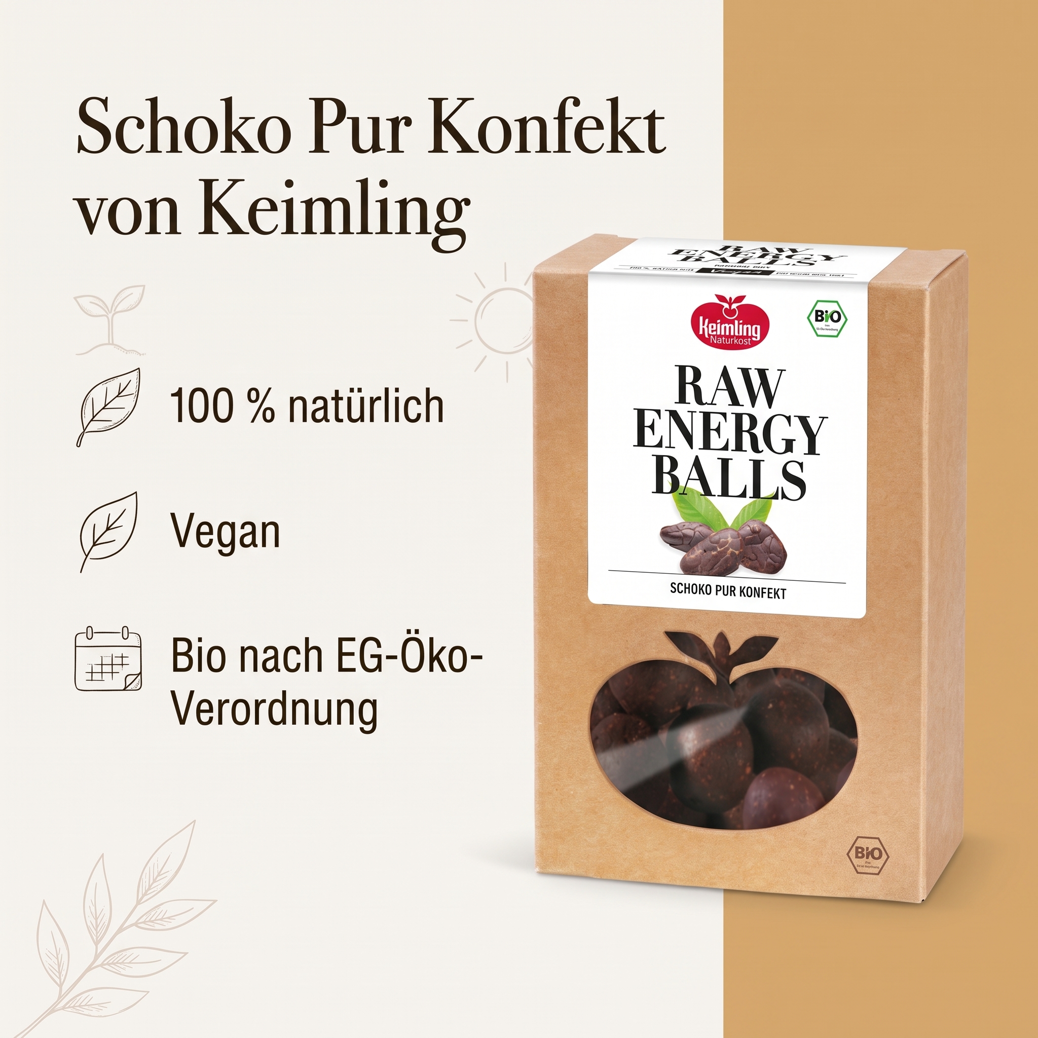 BIO Schoko-Pur Konfekt (Raw Energy Balls)* 