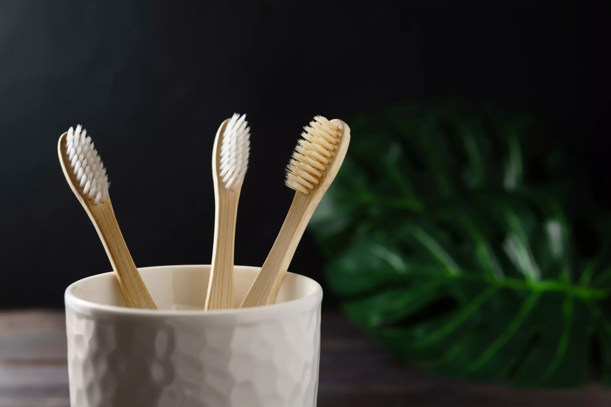 Zahnpflege & Mundhygiene