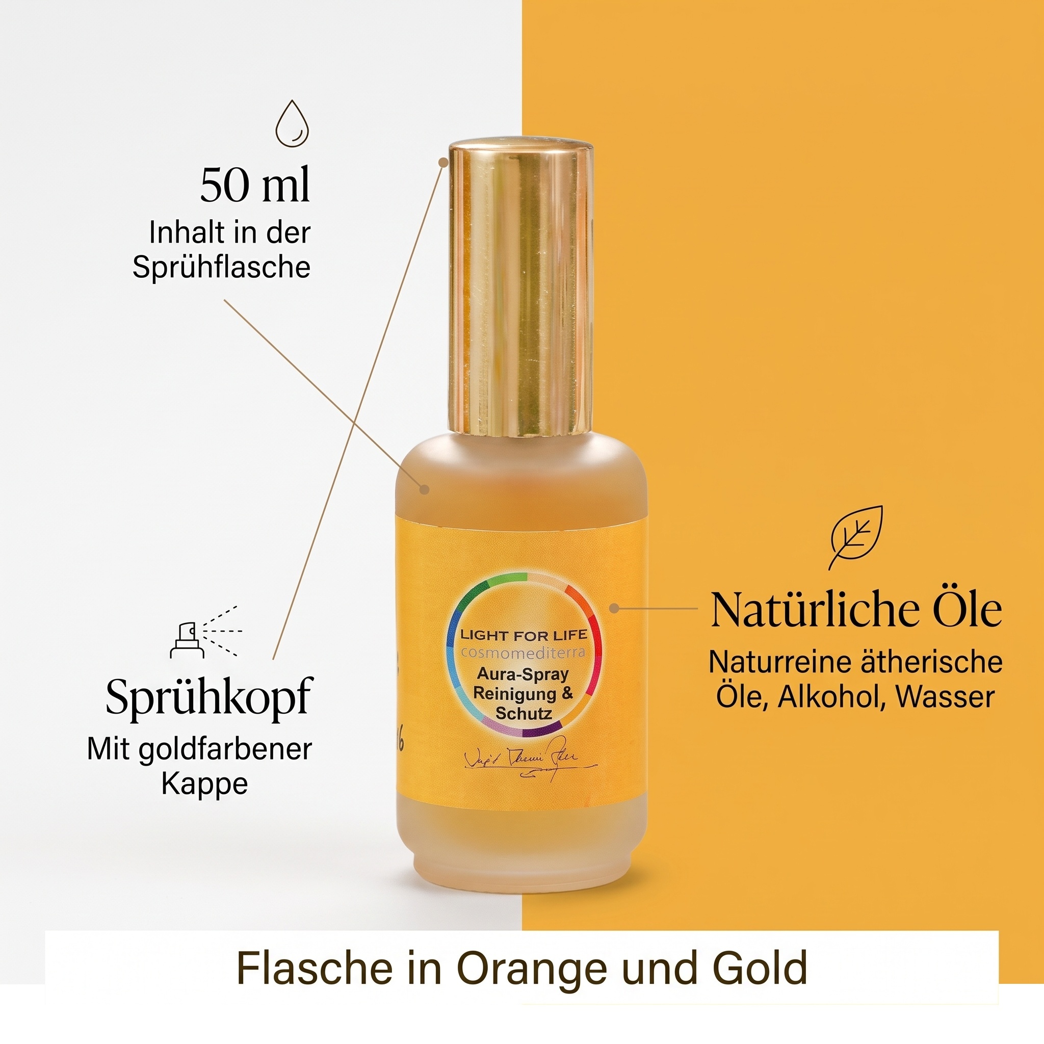 Aura-Spray Reinigung & Schutz