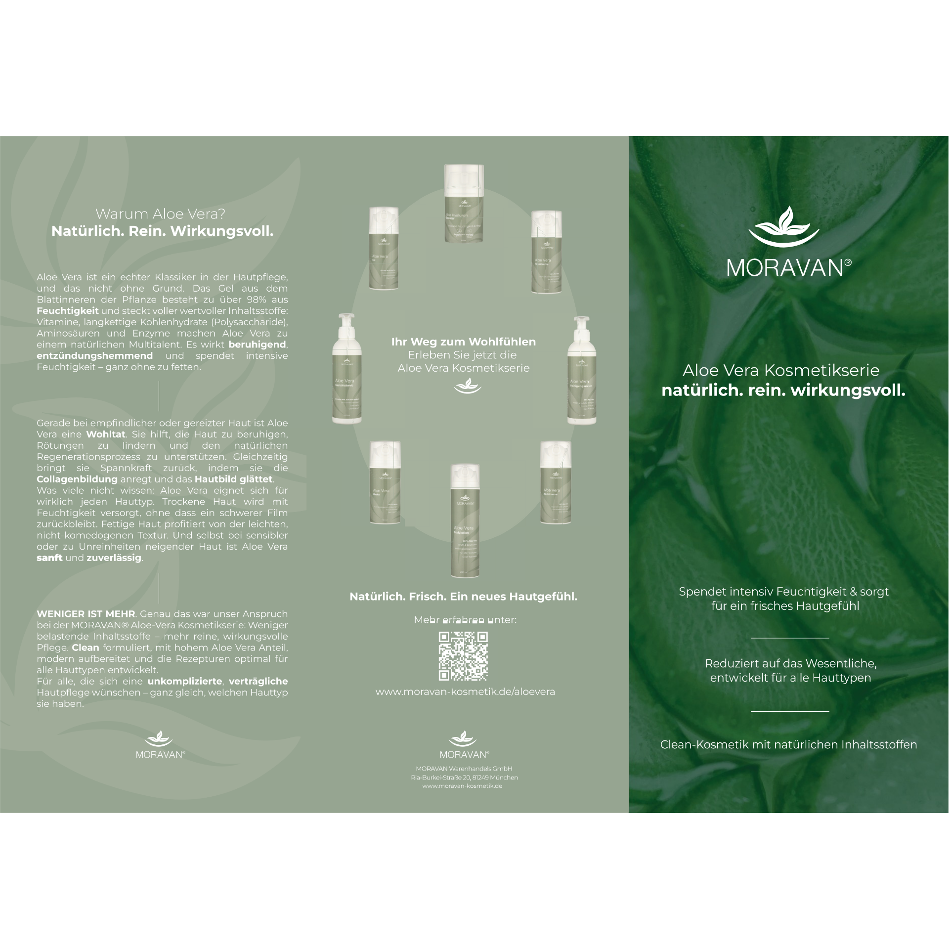 Flyer Aloe Vera Serie  Flyer Aloe Vera Serie
