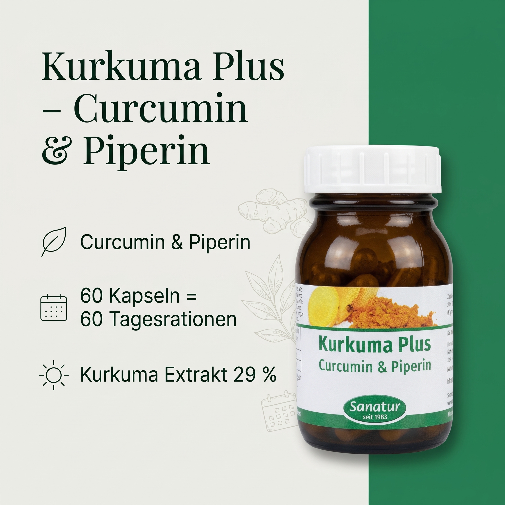 Kurkuma Plus 