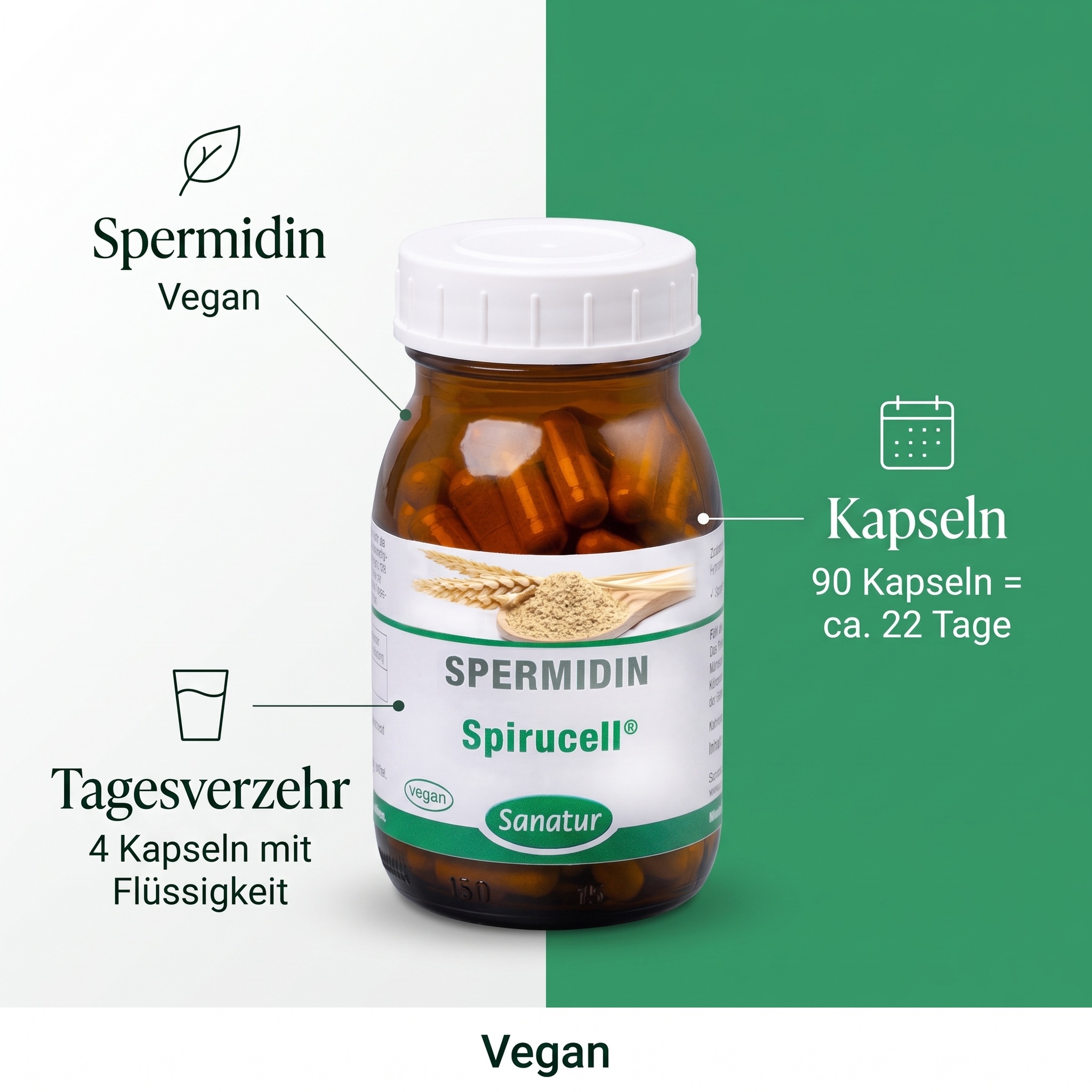 Spermidin Spirucell® Spermidin Spirucell®