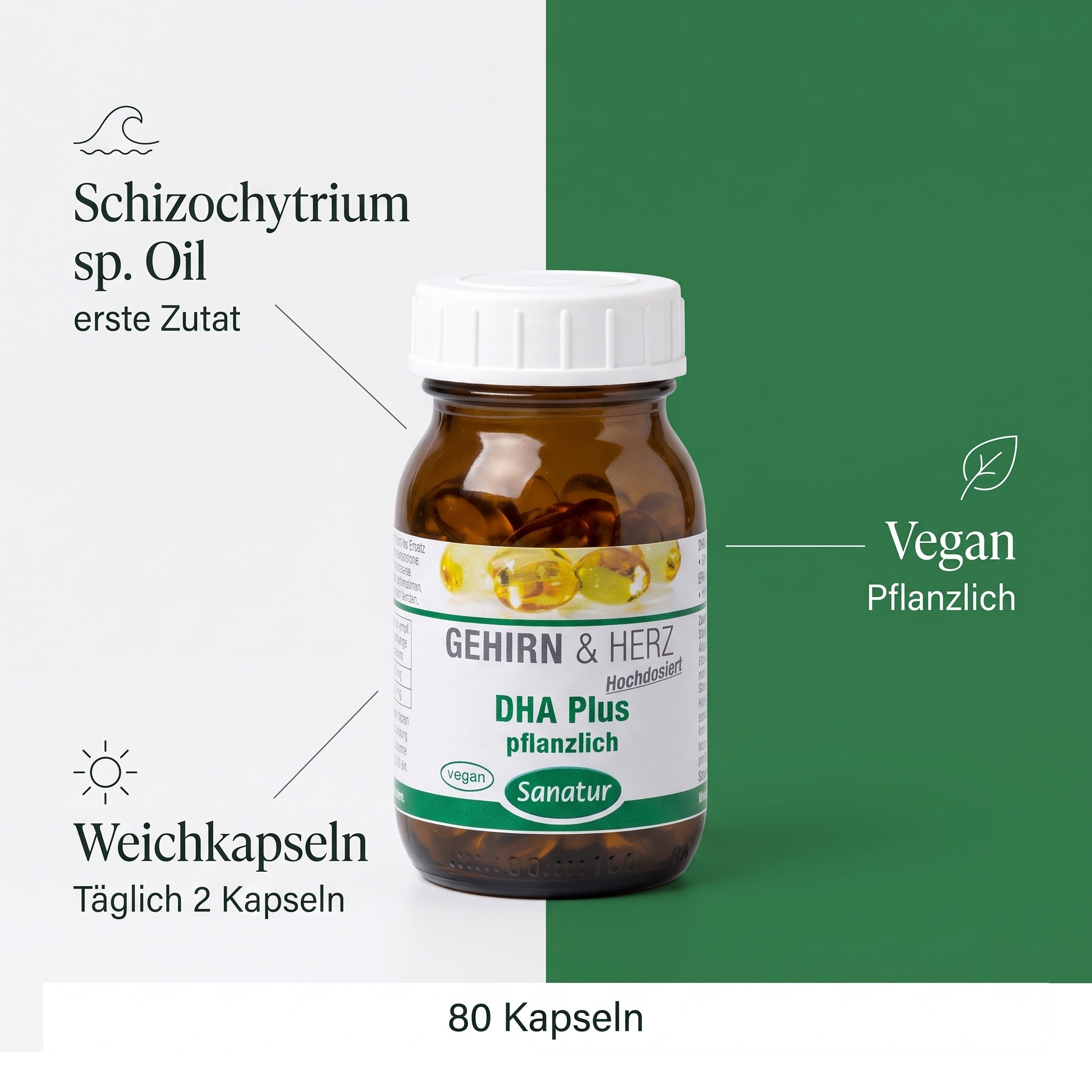 DHA Plus DHA Plus