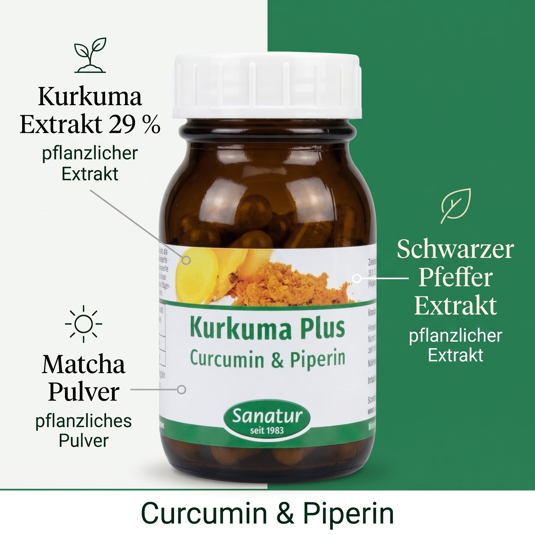 Kurkuma Plus 